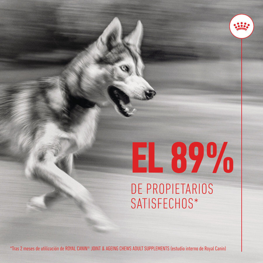 Royal Canin Joint &amp; Ageing Chews Suplemento Nutricional para perros con sensibilidad articular thumbnail