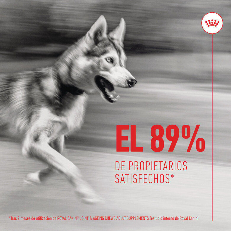 240 g Royal Canin Joint & Ageing Chews Suplemento Nutricional para perros con sensibilidad articular,  Imagen numero 4 240 g Royal Canin Joint & Ageing Chews Suplemento Nutricional para perros con sensibilidad articular, , large Imagen numero 4