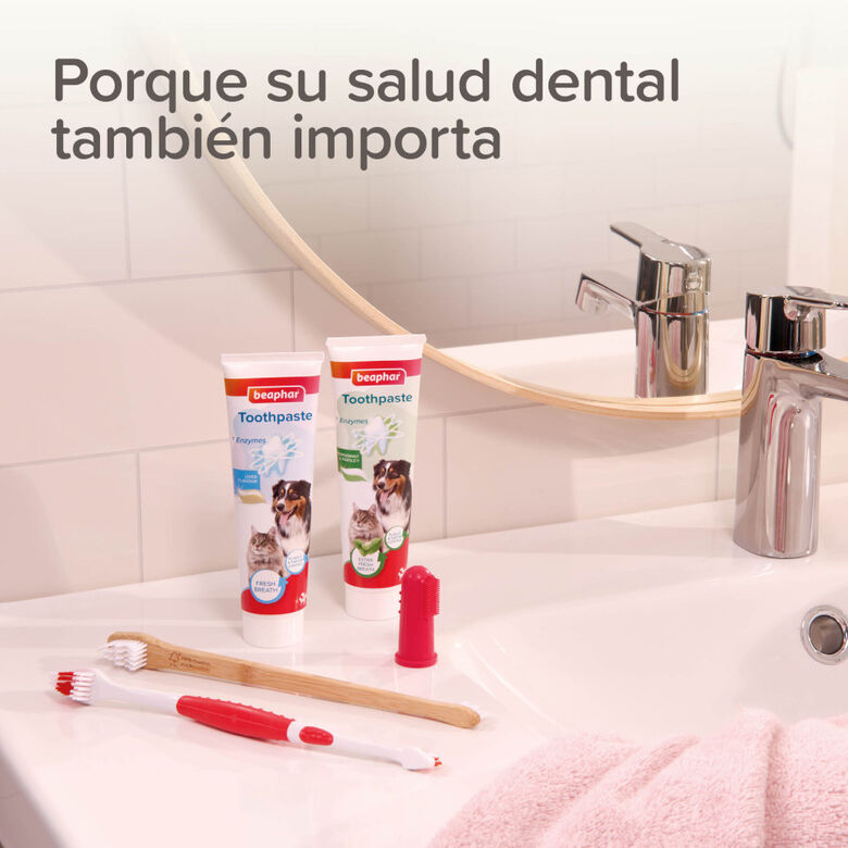 Beaphar Cepillo Dental de Bambú para Perros y Gatos thumbnail