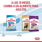 Royal Canin Junior Giant pienso para perros, , large image number null