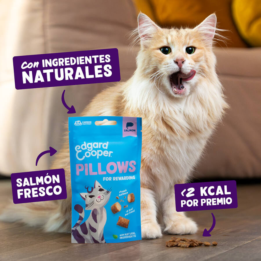 Edgard &amp; Cooper Bocaditos Pillows de salmon para gatos thumbnail