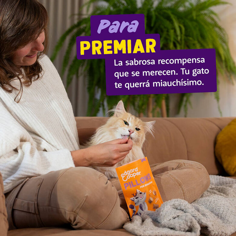 Edgard &amp; Cooper Bocaditos Pillows Pollo para gatos thumbnail