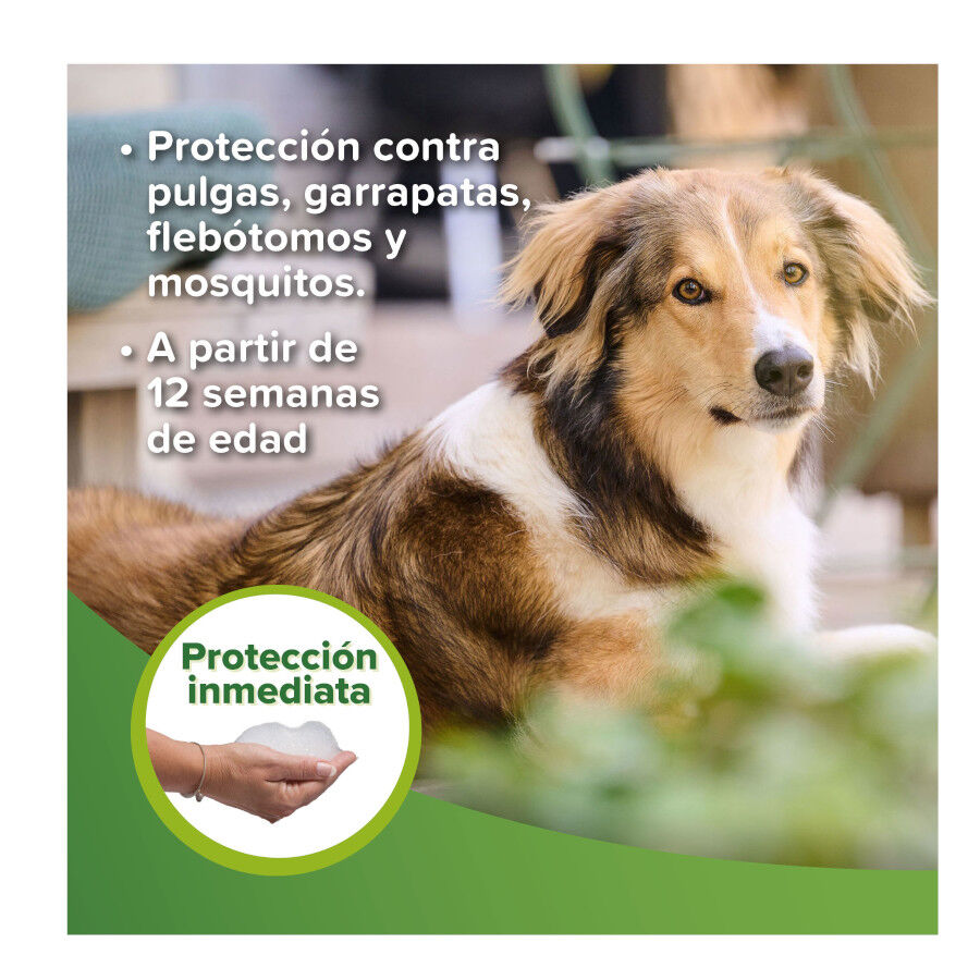 Beaphar Champú Repelente para perros y gatos thumbnail