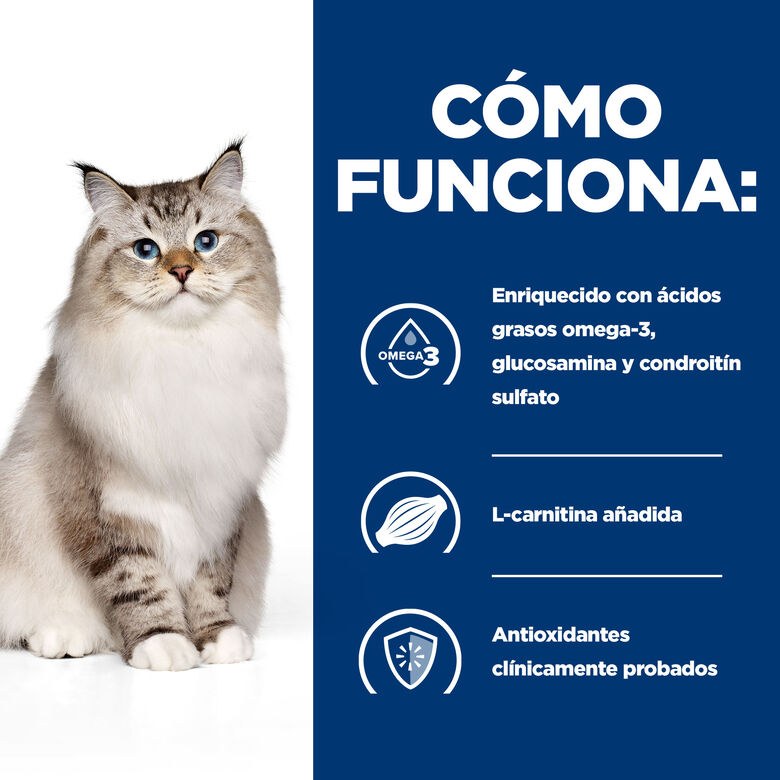 Hill&#039;s Prescription Diet Mobility j/d pienso para gatos thumbnail