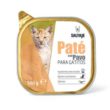 Salvaje Pavo en Paté Tarrina para gatitos