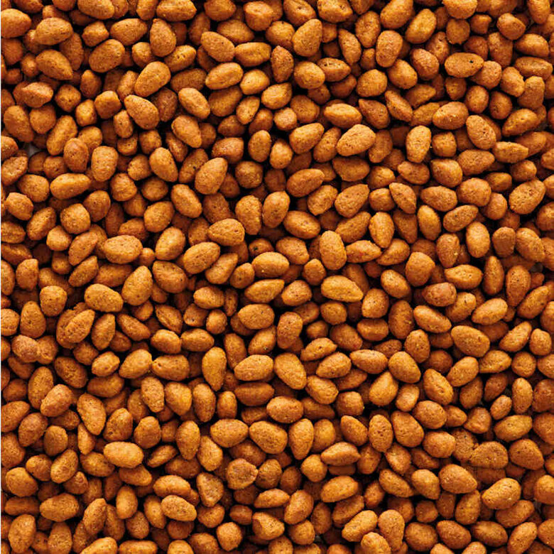 Versele-Laga NutriBird G14 Original Alimento para pájaros,  Imagen numero 2 Versele-Laga NutriBird G14 Original Alimento para pájaros, , large Imagen numero 2