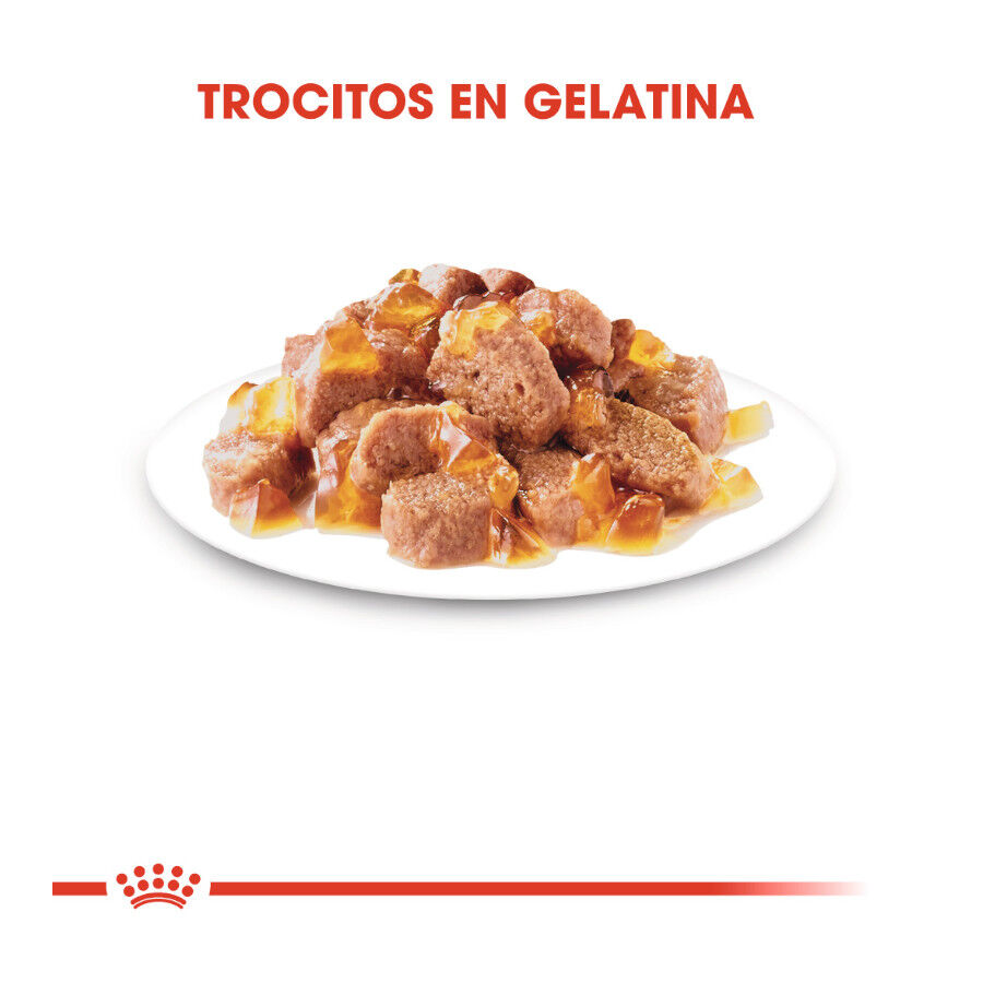 Royal Canin Ultra Light gelatina sobre para gatos thumbnail