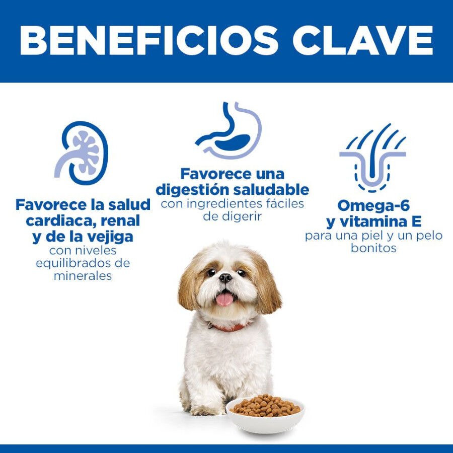 Hill&#039;s Science Plan pienso pollo para perros de razas pequeñas y mini thumbnail