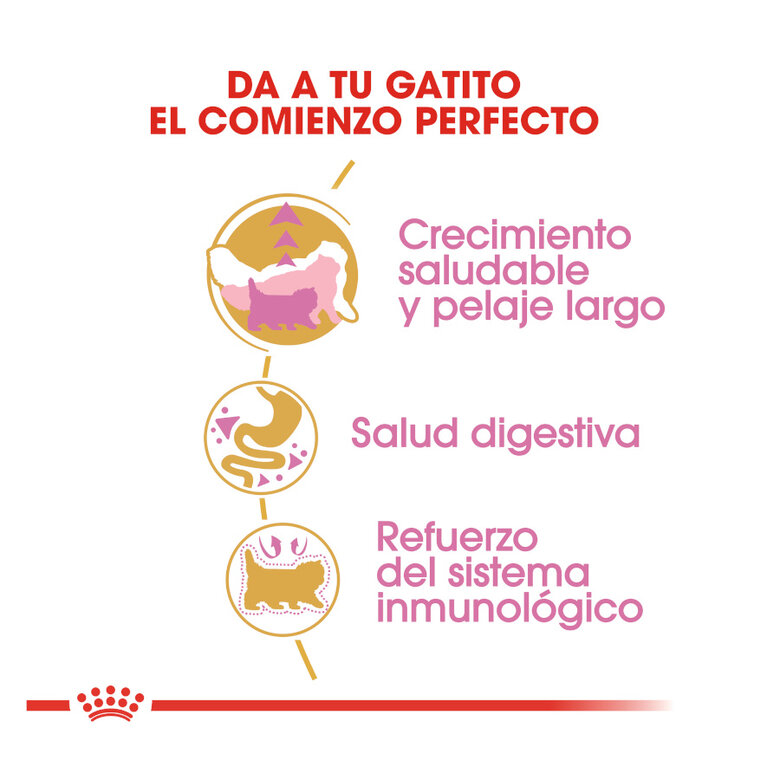 Royal Canin Kitten Persia pienso para gatos, , large image number null