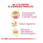 Royal Canin Kitten Persia pienso para gatos, , large image number null