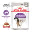 Royal Canin 14 kg Pienso Regular Sterilised + 24 pouches gratis ¡Pack Ahorro!, , large indicador imagen numero 3
