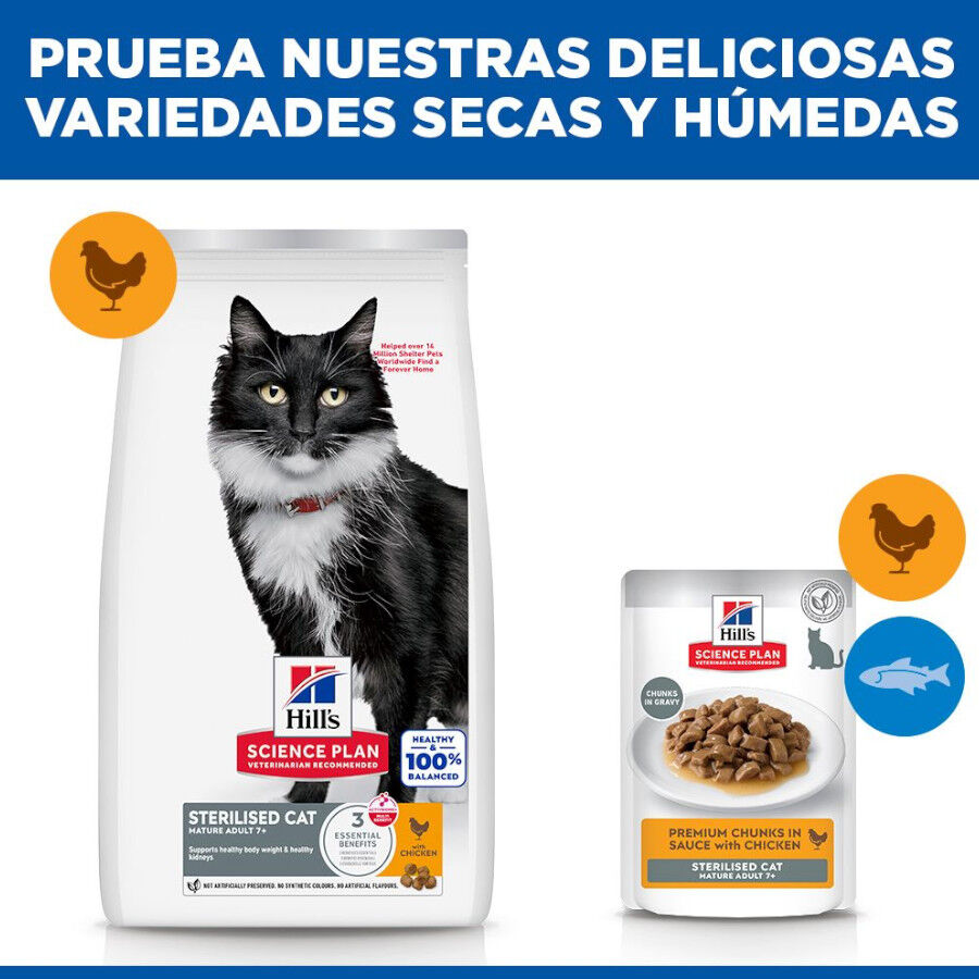 Hill's Science Plan Mature Sterilised Piendo pollo para gatos esterilizados thumbnail