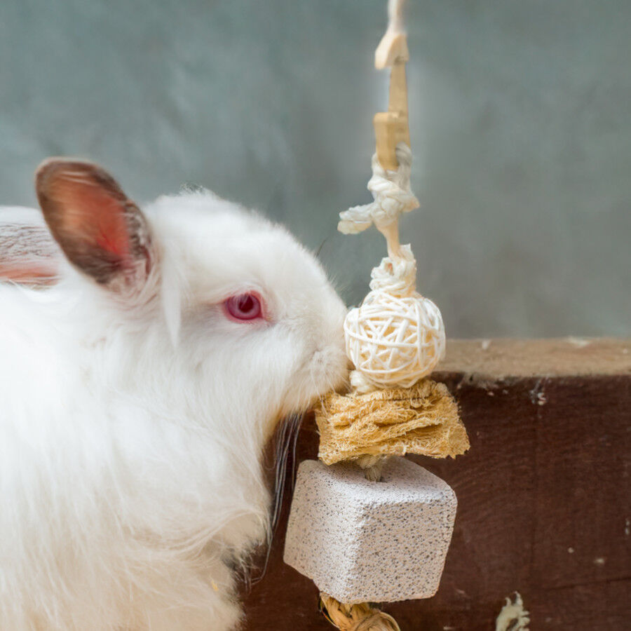 Quapas Handing Toy 1 Juguete para roedores, , large Imagen numero 2