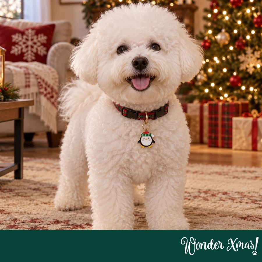 Wonder Christmas Colgante Collar Ping&uuml;ino para perros, , large Imagen numero 2