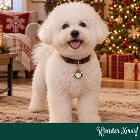Wonder Christmas Colgante Collar Ping&uuml;ino para perros