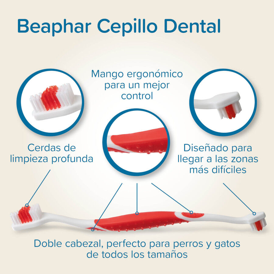Beaphar Pack Dental Pasta y Cepillo para Perros y Gatos thumbnail