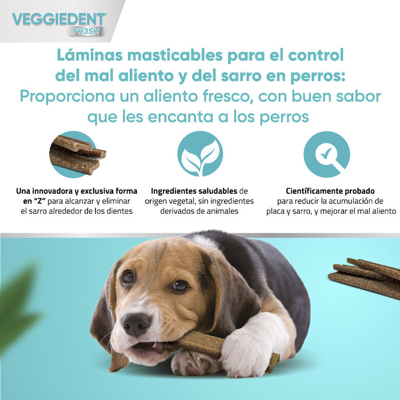 Virbac Snacks Dentales Veggiedent Fresh para perros de raza pequeña, , large image number null