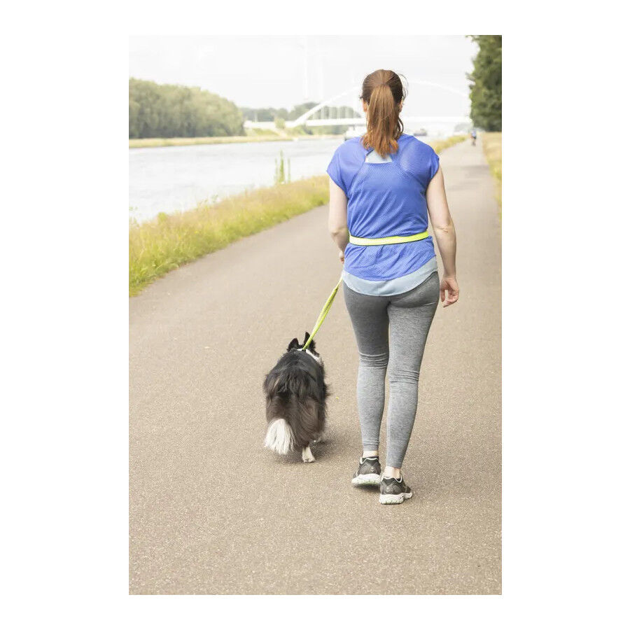 Flamingo Correa Canicross Amarillo Fluorescente para perros, , large Imagen numero 5