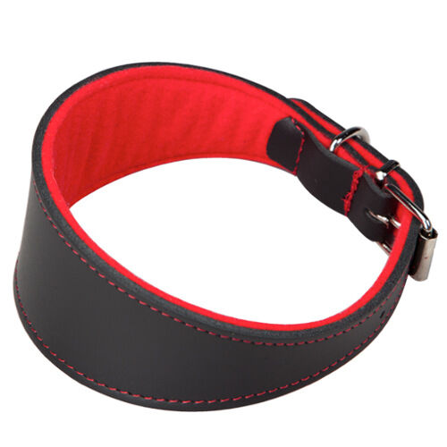Arppe Superfelt collar para perros Imagen numero 1
