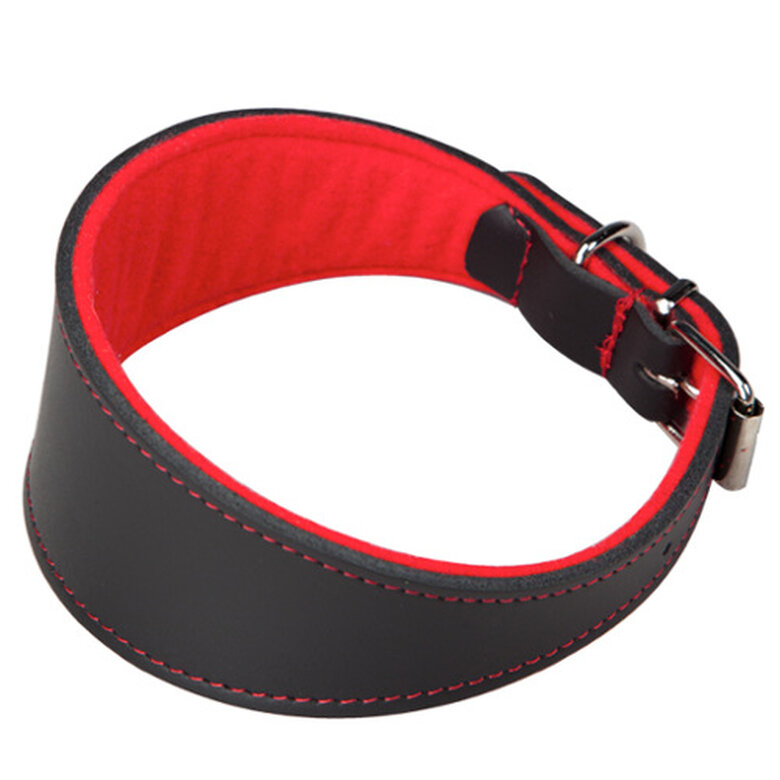 Arppe Superfelt collar para perros image number null