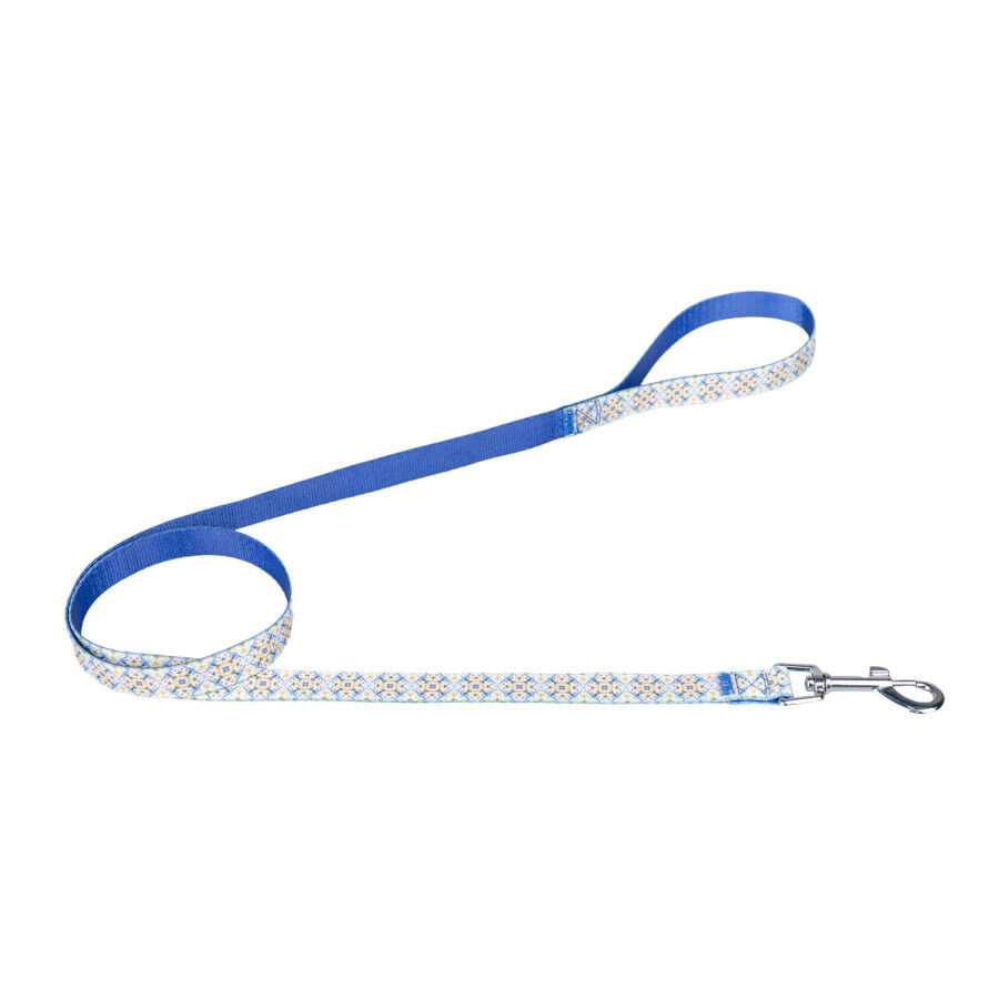 Summer Vibes Pack Correa y Collar Dolce Vita para perros, , large Imagen numero 2