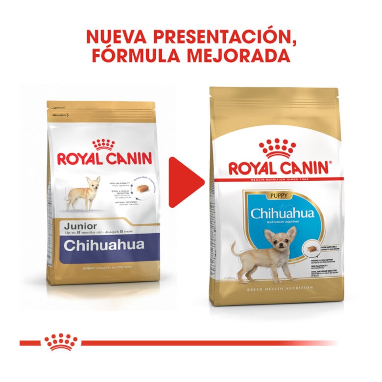 1.5 kg Royal Canin Puppy Chihuahua pienso para cachorros,  Imagen numero 3 1.5 kg Royal Canin Puppy Chihuahua pienso para cachorros, , large Imagen numero 3