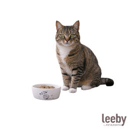 Leeby Comedero de Cer&aacute;mica Blanco para gatos
