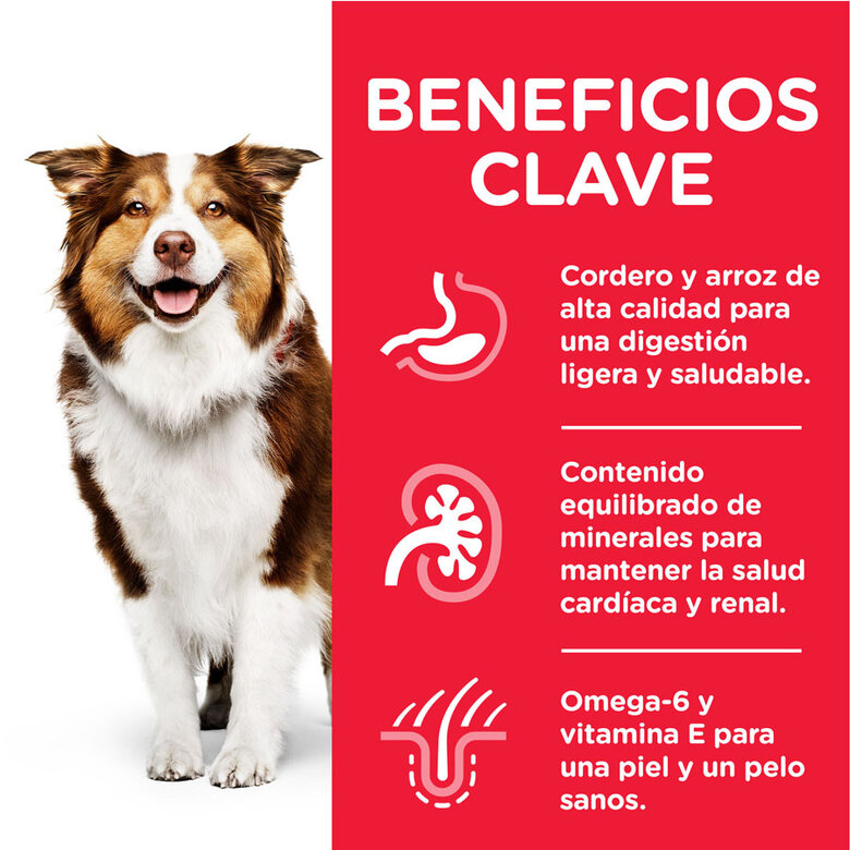 Hill's Science Plan Mature Adult Medium Cordero pienso para perros, , large image number null