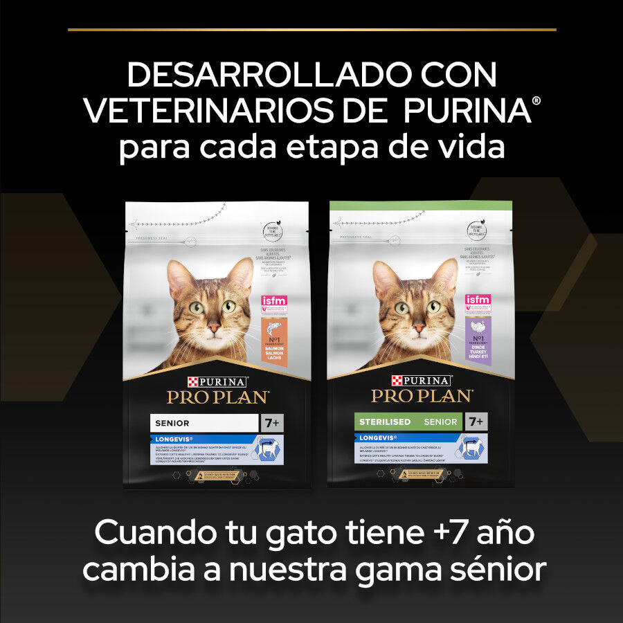 Pro Plan Adult OptiDerma Salmón pienso para gatos thumbnail