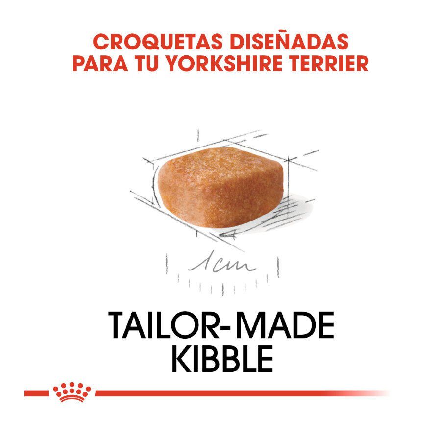 7.5 kg Royal Canin Puppy Yorkshire Terrier pienso para cachorros, , large Imagen numero 4