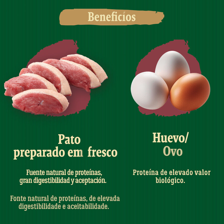 True Origins Wild Mini Lagoon Pato pienso para perros thumbnail