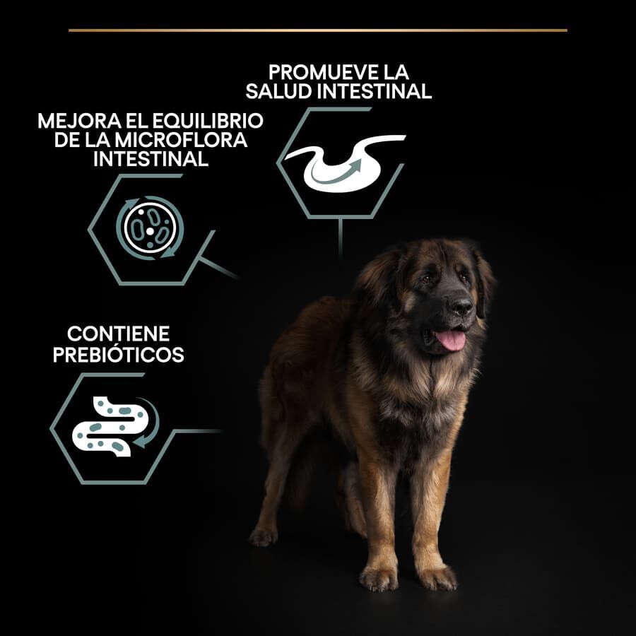 Pro Plan Adult Large Robust Digestión Cordero pienso para perros thumbnail