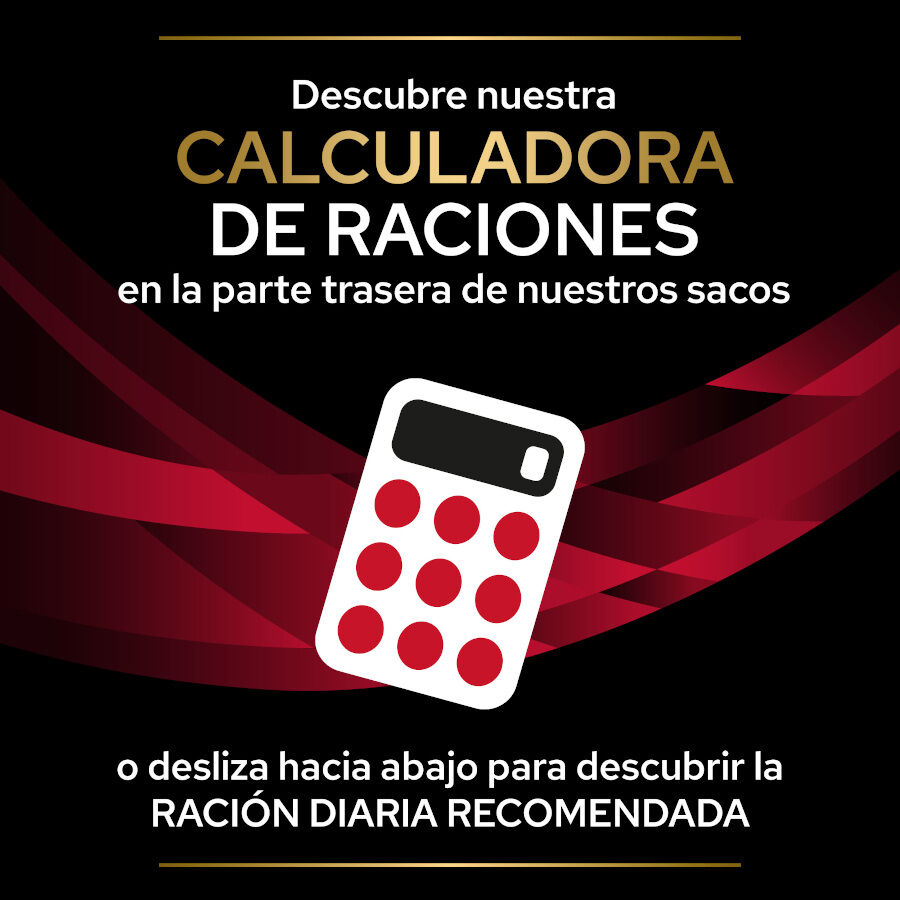 3 kg Pro Plan Veterinary Diets CC Cardiocare pienso para perros, , large Imagen numero 7