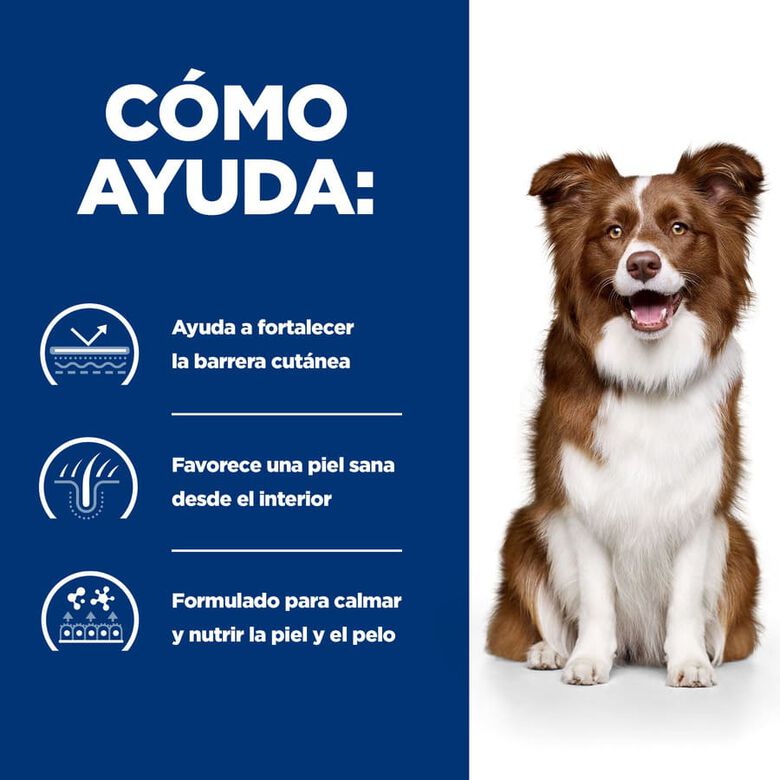 Hill&#039;s Prescription Diet Derm Defense Pollo pienso perro thumbnail