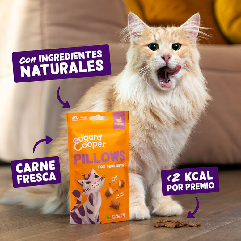 Edgard &amp; Cooper Bocaditos Pillows Pollo para gatos thumbnail