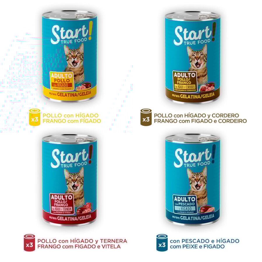 12 latas x 400 g Start Multipack de Carne y Pescado en Gelatina para Gatos, , large Imagen numero 3