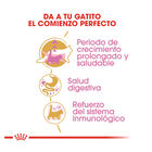 Royal Canin Kitten Maine Coon pienso para gatos, , large image number null