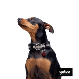 Gotoo Collar de malla transpirable gris para perros