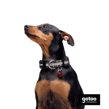 Gotoo Collar de malla transpirable gris para perros