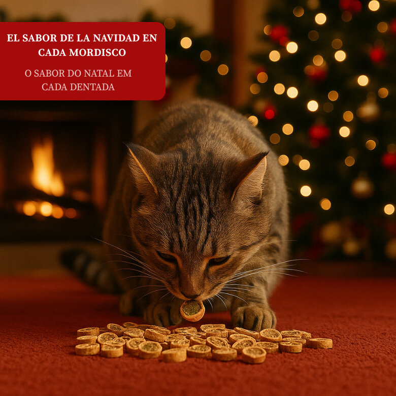 50 g Wonder Christmas Caja de Bocaditos Navideños para gatos,  Imagen numero 4 50 g Wonder Christmas Caja de Bocaditos Navideños para gatos, , large Imagen numero 4