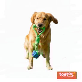 Tootoy! Modedor para Tirar de Cuerda con Pelota Verde y Azul para perros