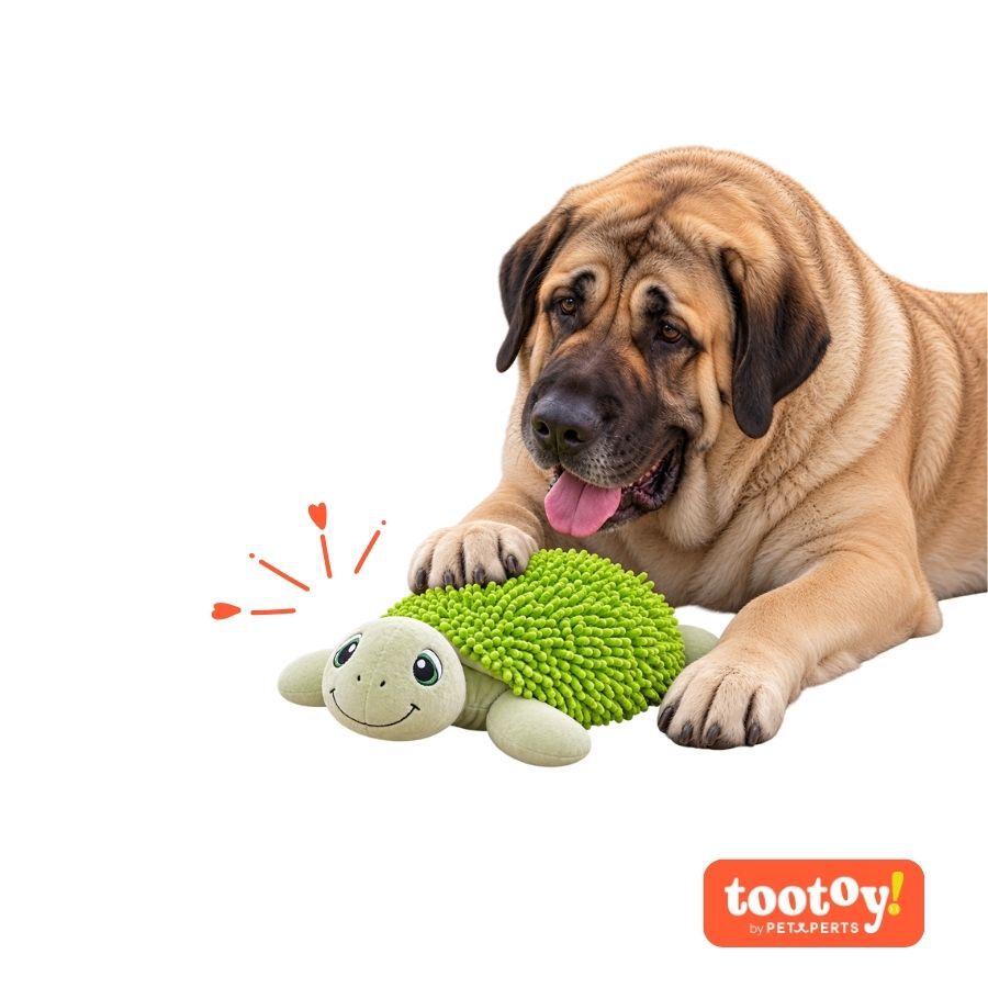 Tootoy! Comfort Tortuga Gigante Peluche para perros, , large Imagen numero 7