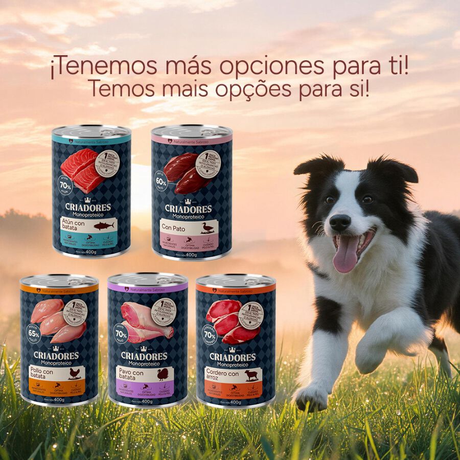 400 g Criadores Monoproteico Pavo y Batatas lata para perros, , large Imagen numero 8
