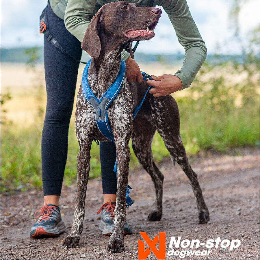 Non-stop dogwear Line 5.0 Arnés Azul para perros thumbnail