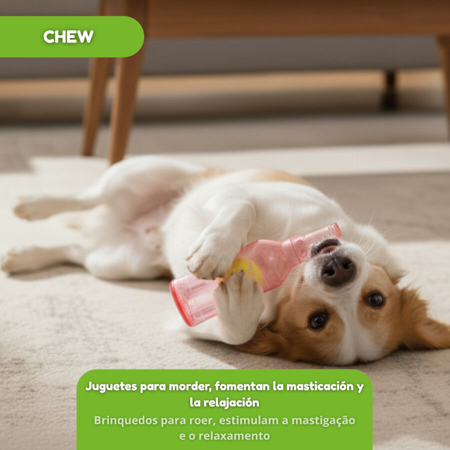 Tootoy! Mordedor Botella con Pelota de Goma para perros, , large Imagen numero 6