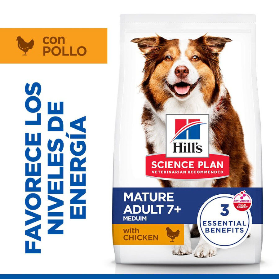 Hill&#039;s Science Plan Mature Adult Medium pienso pollo para perros de razas medianas thumbnail