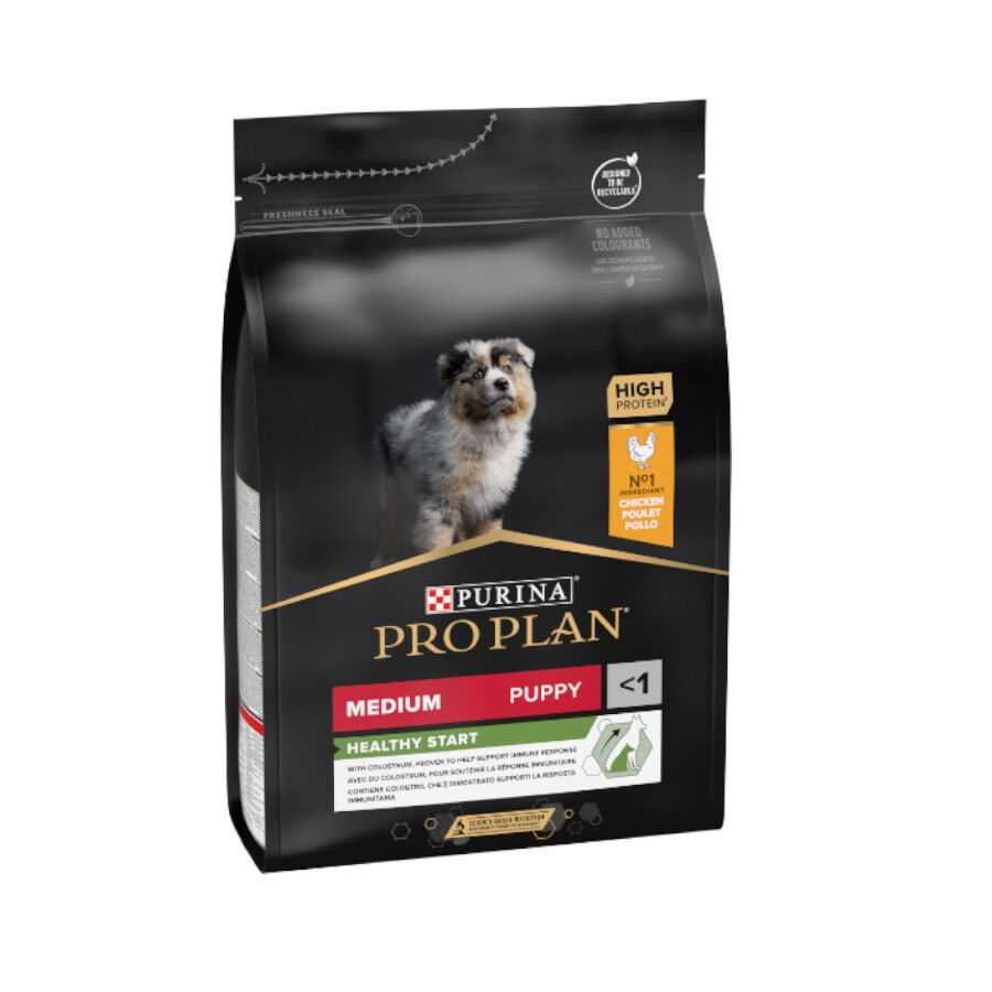 Pro Plan Puppy Medium Pollo pienso para Cachorros