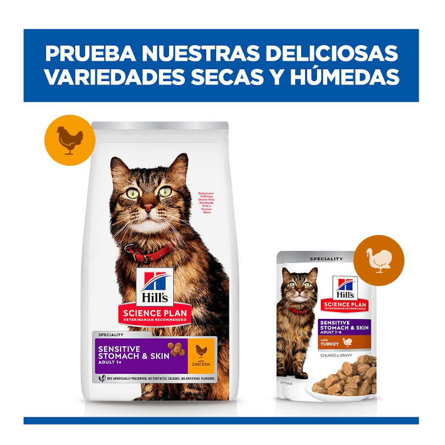 1.5 kg Hill's Adult Science Plan Sensitive Stomach Pollo pienso para gatos, , large Imagen numero 8