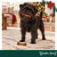 1 pack x 2 uds. Wonder Christmas D&uacute;o Huesos Piel Prensada Snacks para perros, , large indicador imagen numero 2