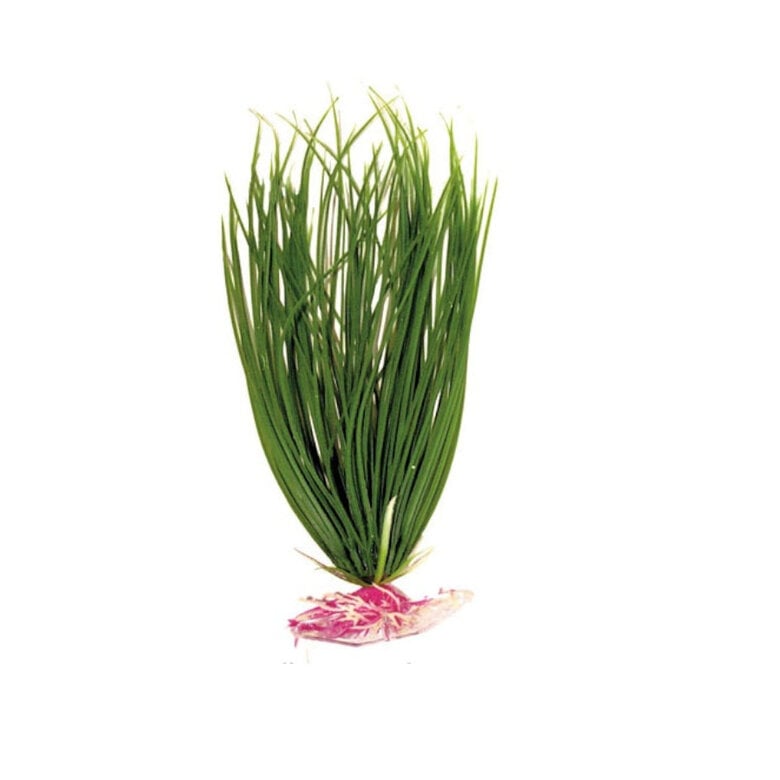 accesorios_acuario_decoracion_planta_plastico_rotala_NAY8011935 Imagen numero 1 Croci Acorus planta de plástico para acuarios Imagen numero 1